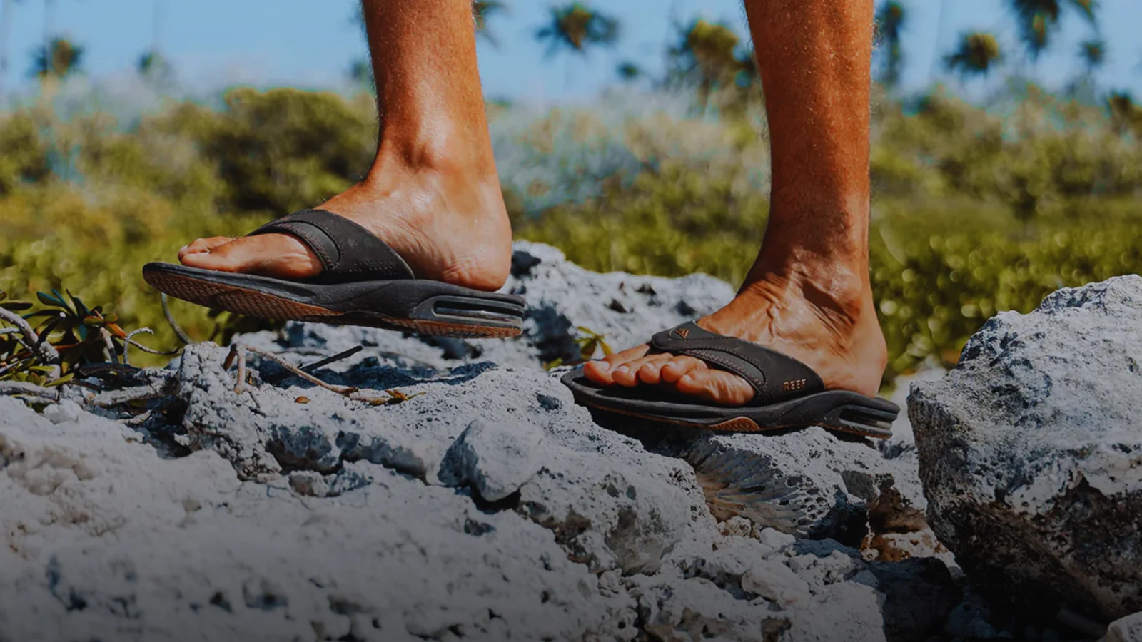 REEF – Riding the Wave of Growth